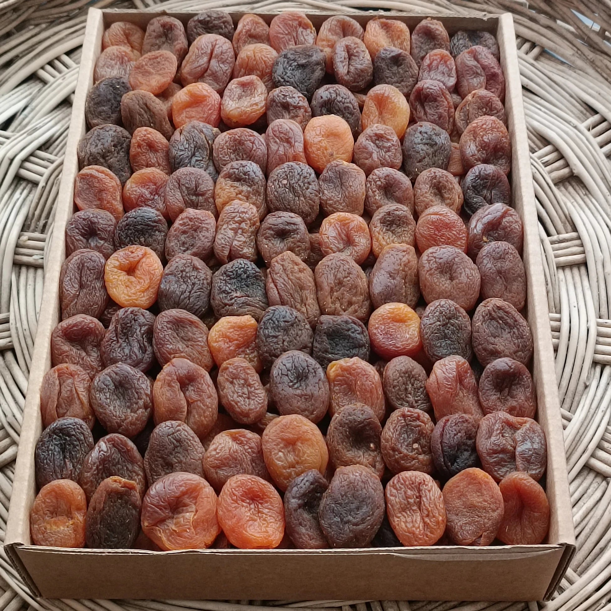 ORTA BOY KAYISI 5 KG