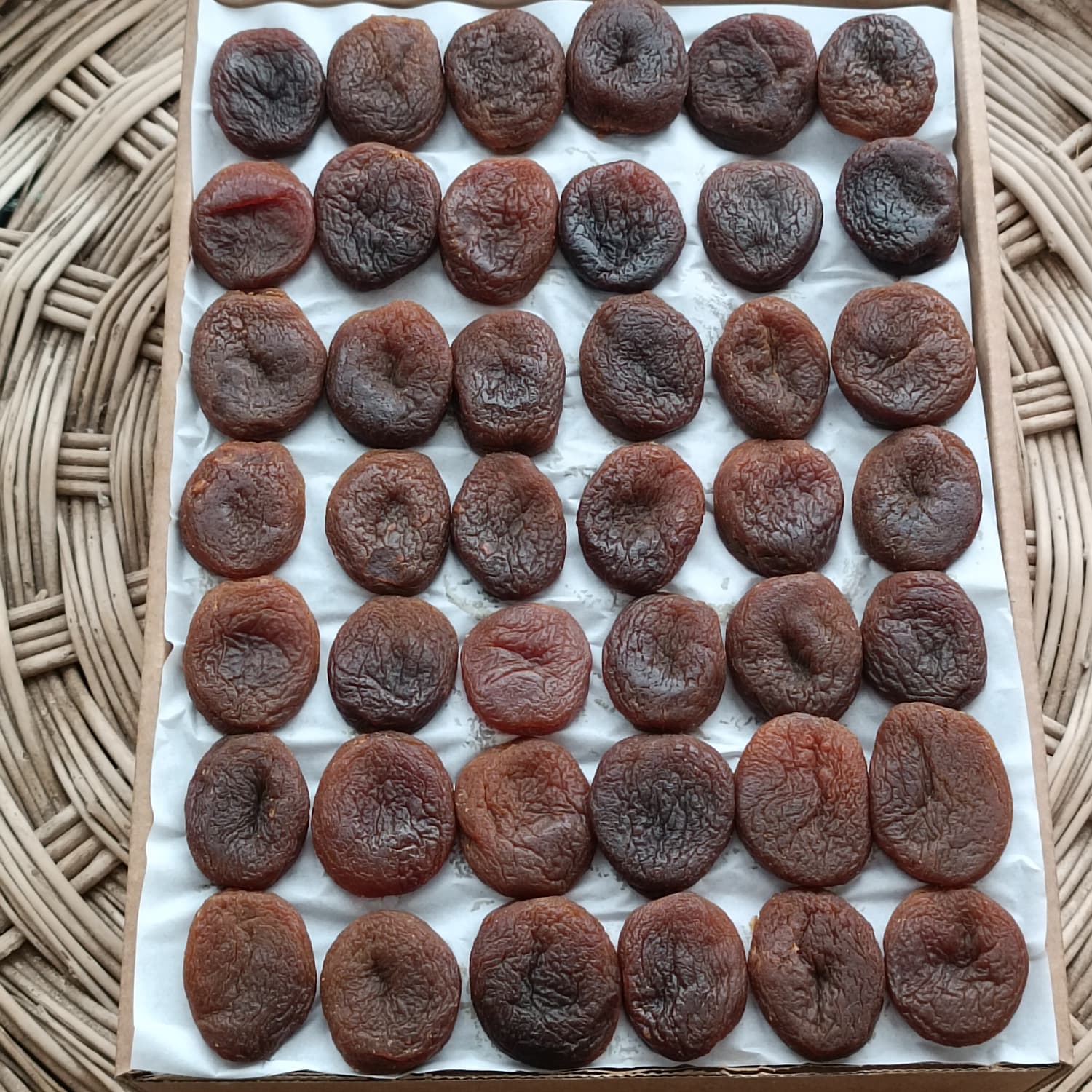 ÖZEL DİZİM BÜYÜK BOY KAYISI 5 KG